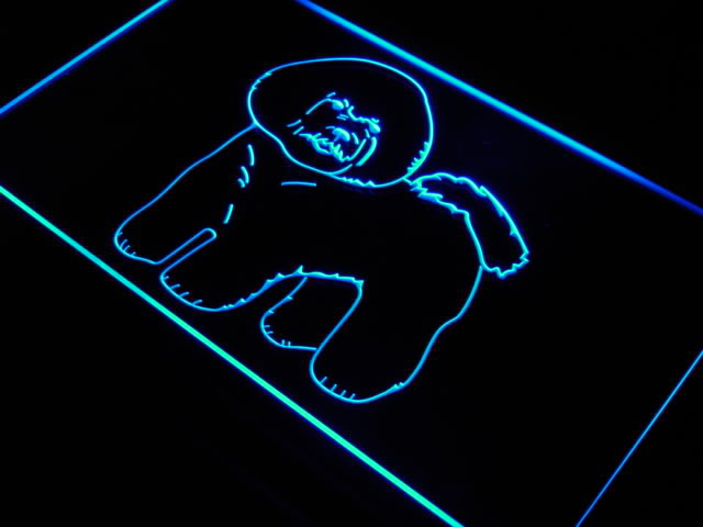 Bichon Frise Dog Pet Shop Home Neon Light Sign